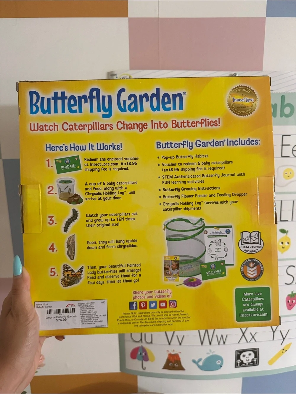 Butterfly Garden Caterpillar to Butterfly Kit - Yellow/Green